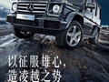 17710110991（同微信）