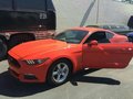 Mustang