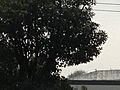 温州力虎汽车销售服务有限公司