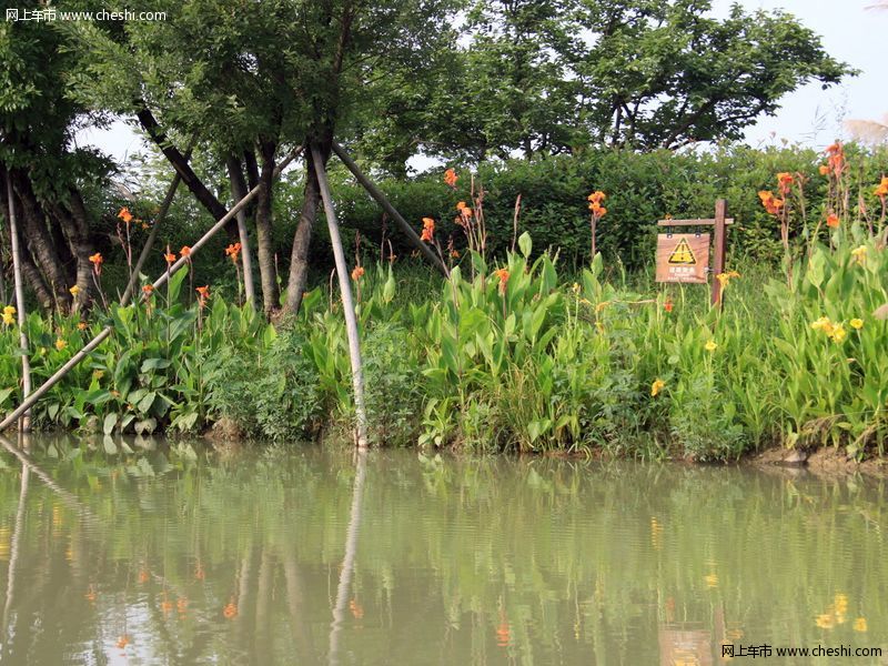西溪湿地