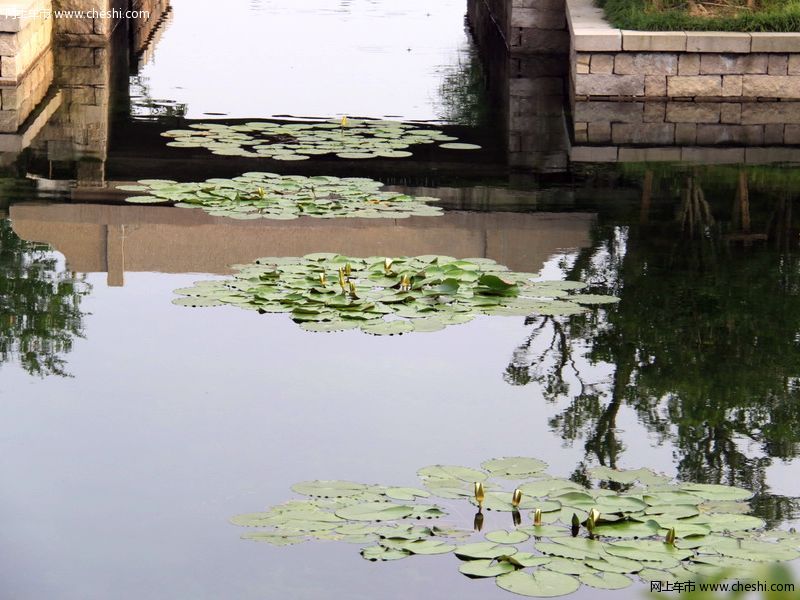 西溪湿地