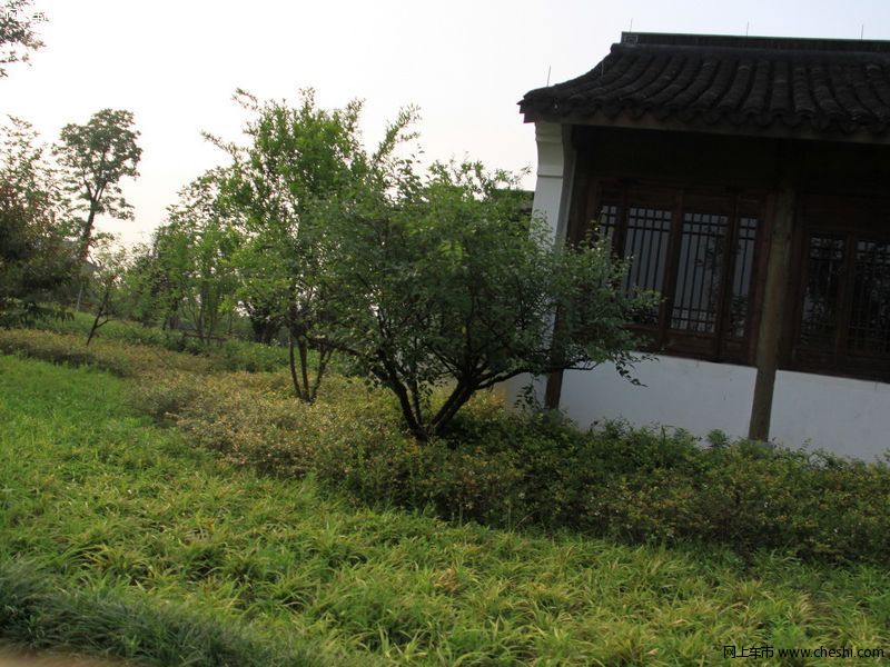 西溪湿地