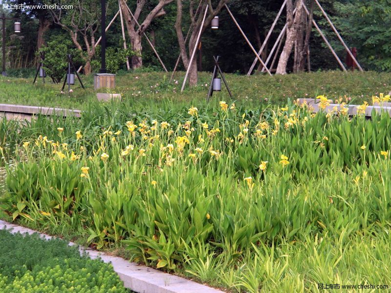 西溪湿地