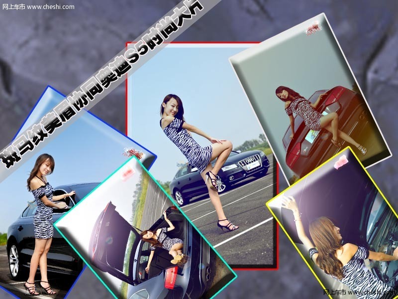 梅艳芳转世美车模