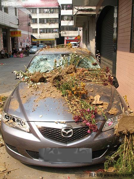 惨不忍睹 和小三玩车震被老婆逮住的后果