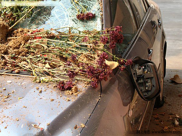 惨不忍睹 和小三玩车震被老婆逮住的后果