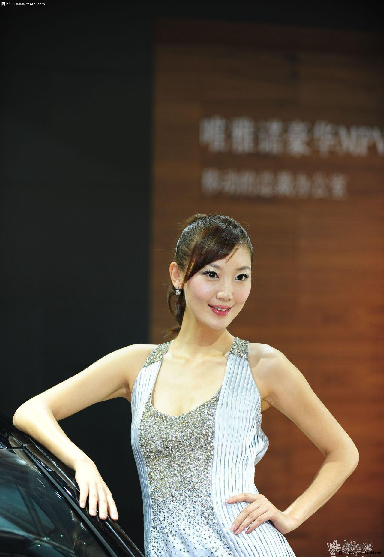 镇展之模 车展看她们 回顾往届车展靓模