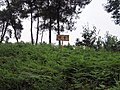 青山湖