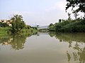 西溪湿地