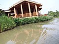 西溪湿地