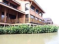 西溪湿地