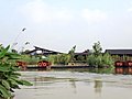 西溪湿地