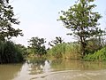 西溪湿地