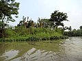 西溪湿地