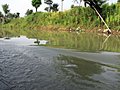 西溪湿地