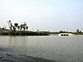 西溪湿地