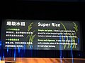 中国馆