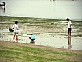 陆风X8