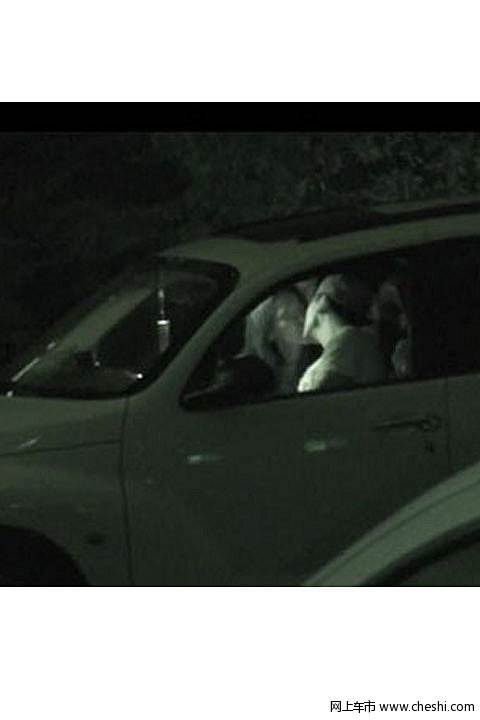 主动疯狂 张雨绮“车震门”全过程曝光