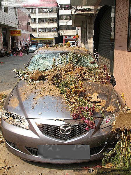 惨不忍睹 和小三玩车震被老婆逮住的后果