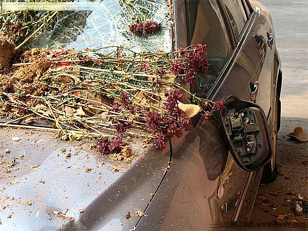 惨不忍睹 和小三玩车震被老婆逮住的后果