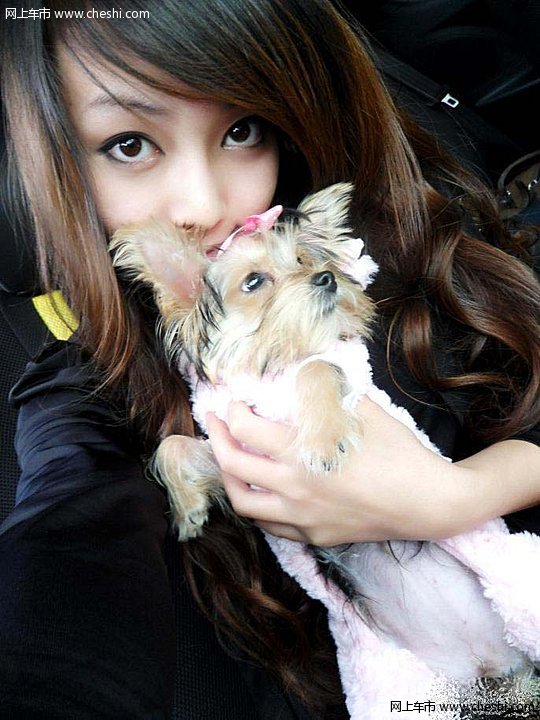 不看汽车只看模特 腾讯当家汽车宝贝写真