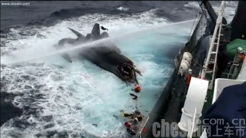 日本捕鲸船撞沉美国反捕鲸团体小船