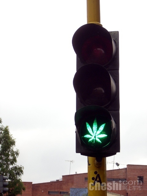 汽车奇闻怪事