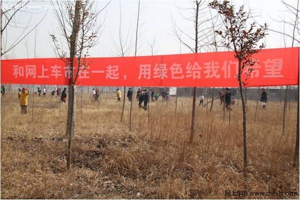 奥迪车友植树之旅