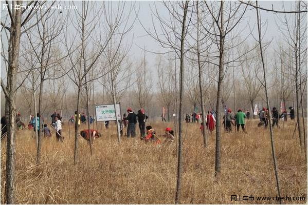 奥迪车友植树之旅