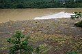南方多省遭暴雨