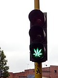 汽车奇闻怪事