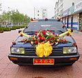 史上最强婚车PK