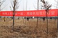 奥迪车友植树之旅