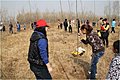 奥迪车友植树之旅