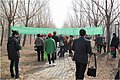奥迪车友植树之旅