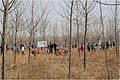 奥迪车友植树之旅
