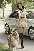 家庭少妇PK女强人