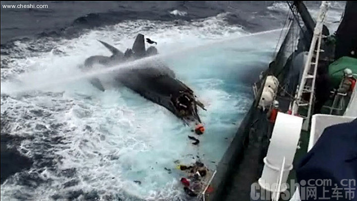 日本捕鲸船撞沉美国反捕鲸团体小船