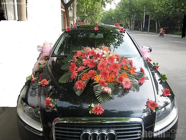 史上最强婚车PK