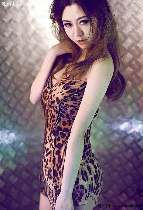 性感-深V/豹纹妞