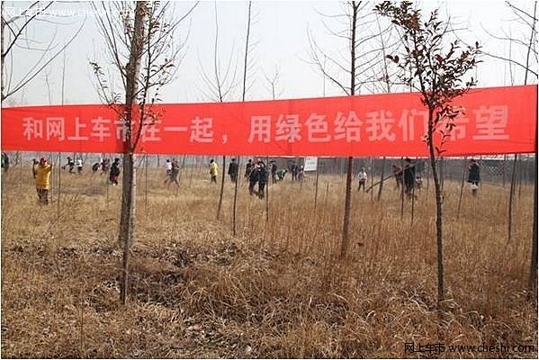 奥迪车友植树之旅