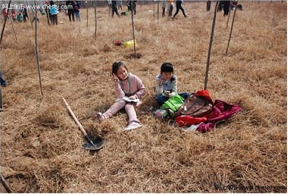 奥迪车友植树之旅
