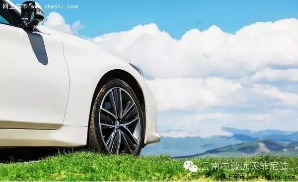 草长“英菲”，踏春去！-图1