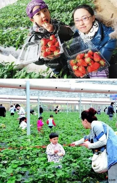 英菲尼迪春季之旅 重元寺自驾游报名开始-图4