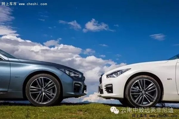 草长“英菲”，踏春去！-图4