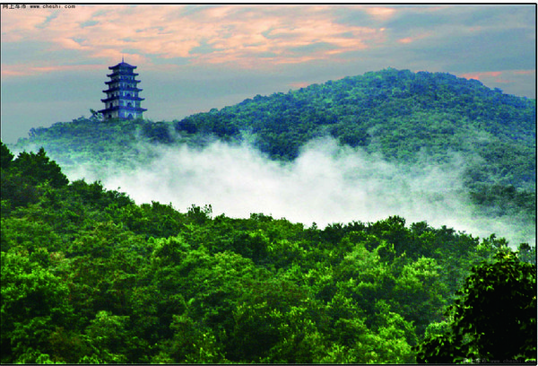 浦口开通四条 旅游新线路-图1