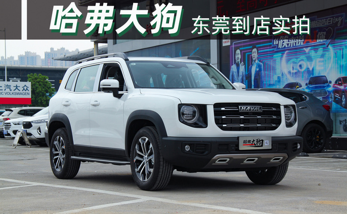 预售125146万元哈弗大狗东莞到店实拍