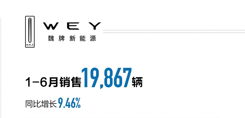长城上半年销量上涨新能源暴涨42 坦克品牌翻倍-图6