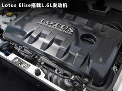 Elise文章配图
